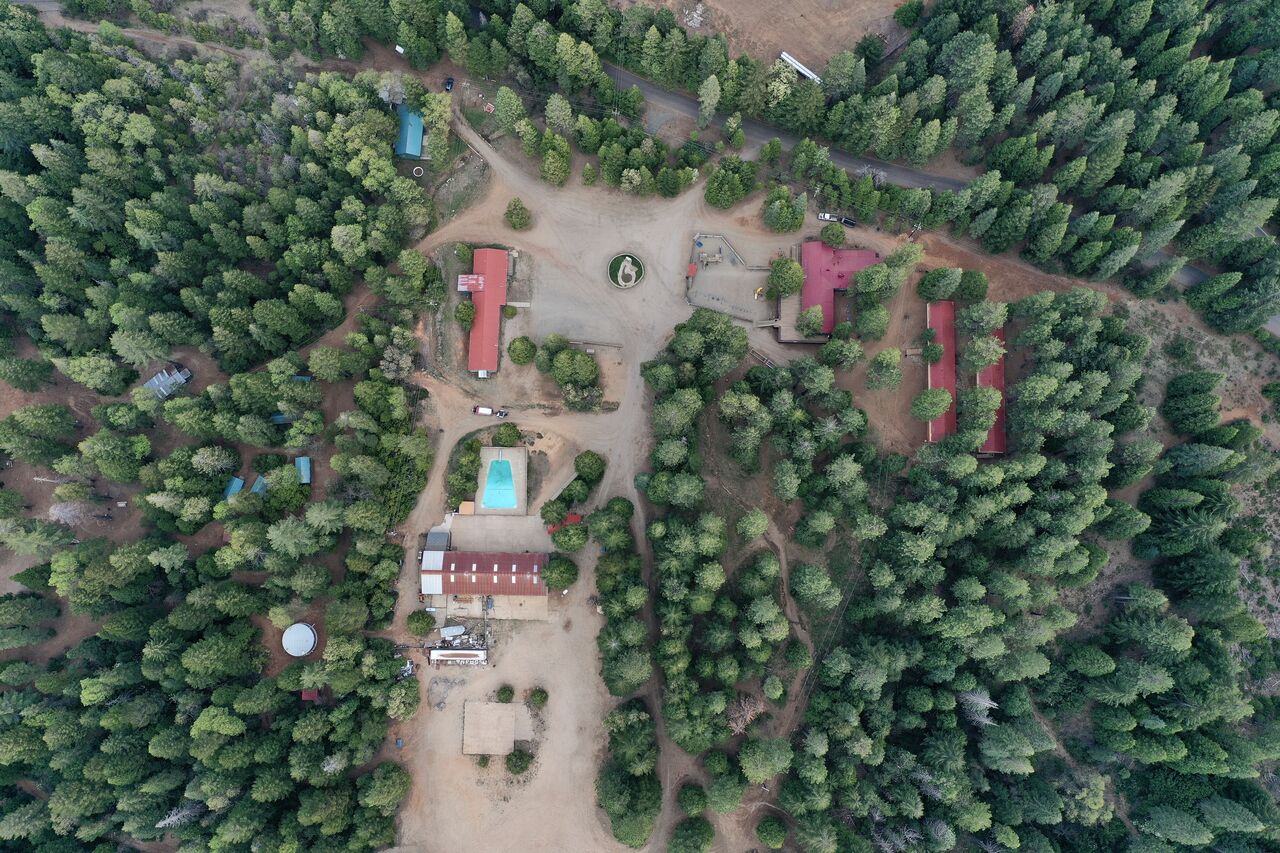 VIP Dorm
